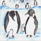 Grade 04 - Zoology - penguins