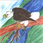 Grade 04 - Zoology - Eagle in Repose - Hanako Saeki