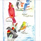 Grade 04 - Zoology - Songbirds