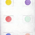 Grade 06 - Physics - After Images or Physiological Colors