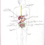 Grade 07 - Physiology - Digestive system 2