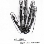 Grade 08 - Anatomy - Hand