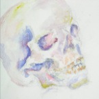 Grade 08 - Skull Study