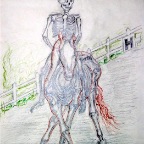 Grade 08 - Anatomy - Equestrian Skeleton